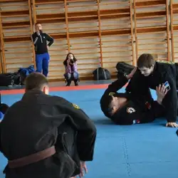 Товариство японської культури Сіндзюцу