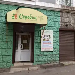 Школа усного рахунку Соробан - Кам'янське, Свободи 77