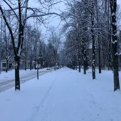 Спеціалізована школа №52 з поглибленим вивченням інформаційних технологій