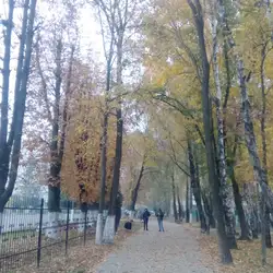 Школа №11 — Луцьк
