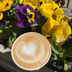 My coffee — Київ